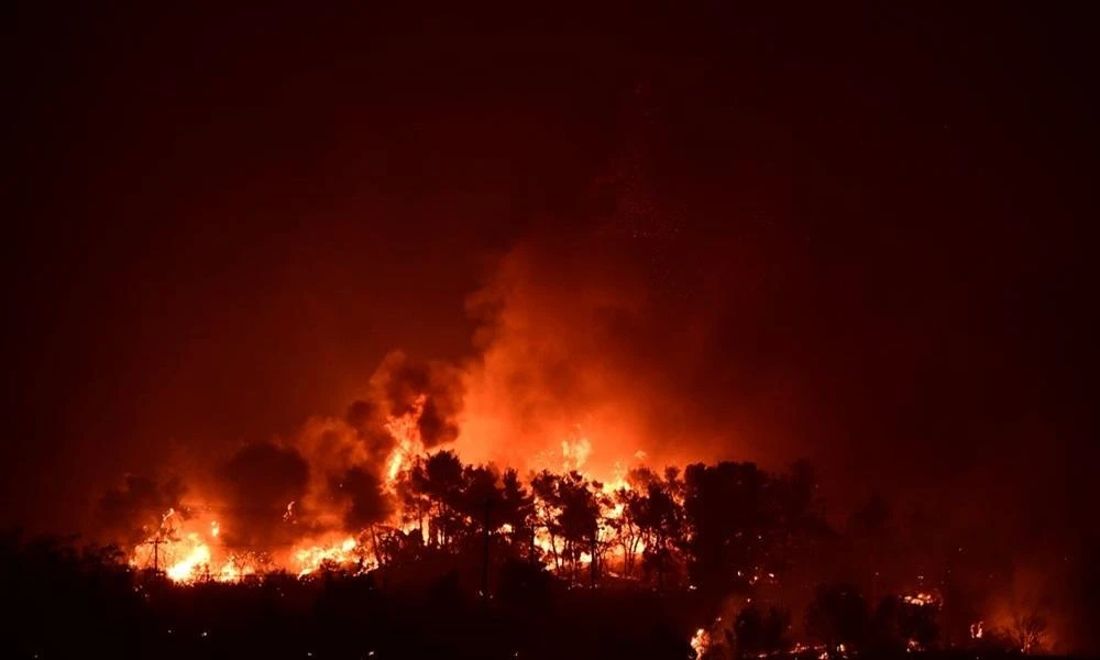 Φωτιά στην Τουρκία: Νέα εστία πυρκαγιάς στα Βουρλά της Σμύρνης